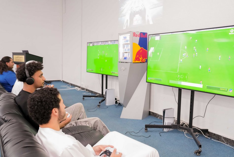 بطولة فيفا 24