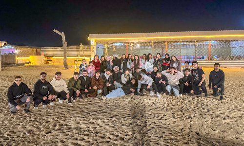 Student Safari Trip Enhances Interaction and the University Experience