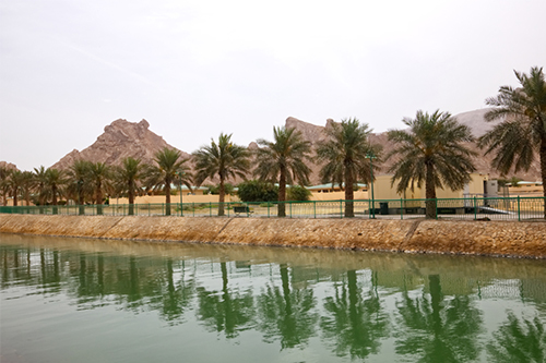 green-mubazzarah-man-made-lake al ain green-mubazzarah-man-made-lake al ain